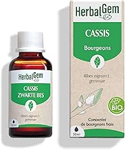 HERBALGEM - Macerate Mother - Organic Blackcurrant - Concentrated Gemmotherapy Food Supplement - Fresh Bud Extract - For Joints, Muscles - Vegan - 30ml