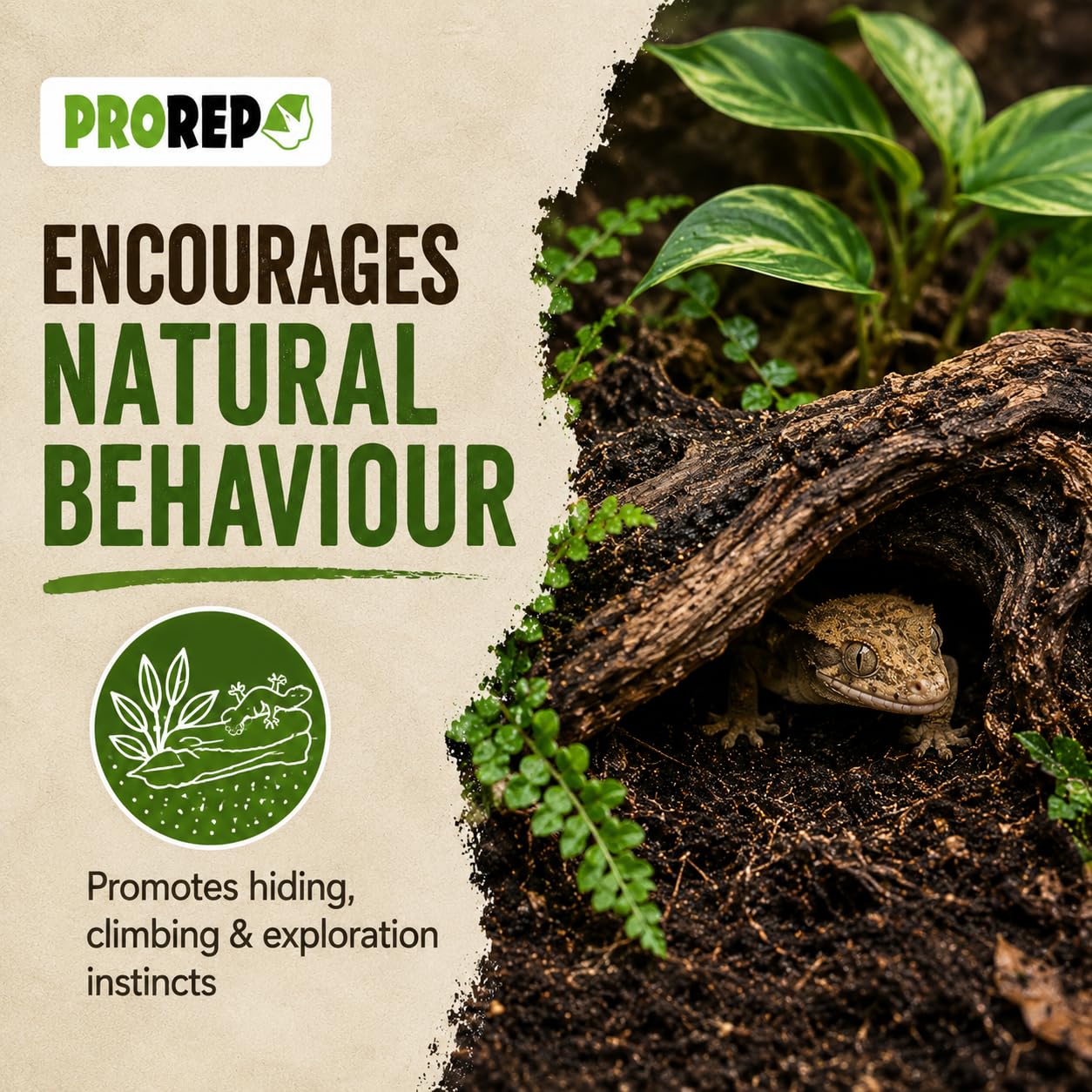ProRep Substrat de litière pour feuilles Jungle 3 l | Substrat pour reptiles | Feuilles pour installation bioactive et isopodes
