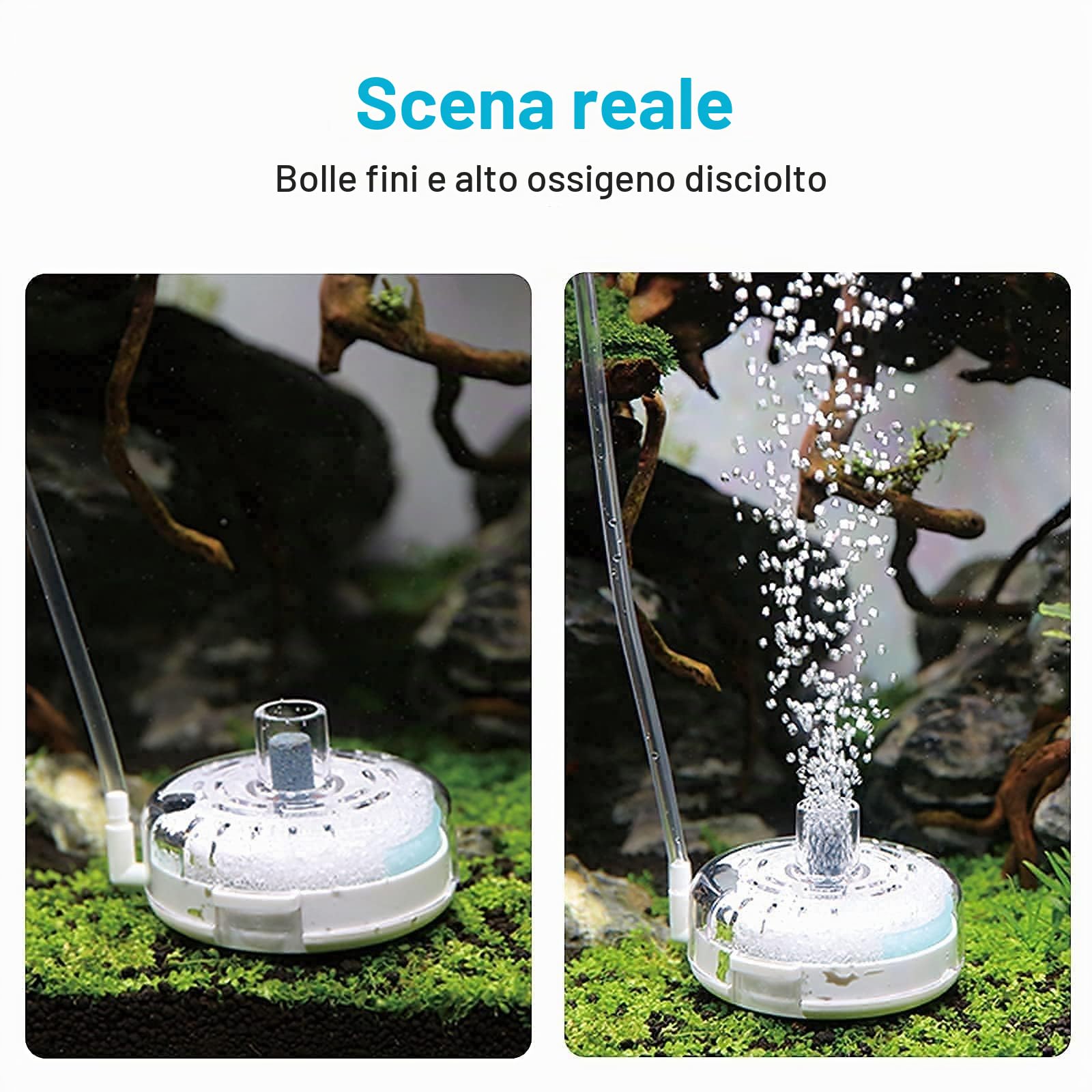 boxtech Filtro in Spugna biochimica per Acquario con Pietra d'Aria Spugna Filtro bio-Silenzioso Ultra-Sottile Tonda azionata ad Aria per Acquario Nano di gamberetti