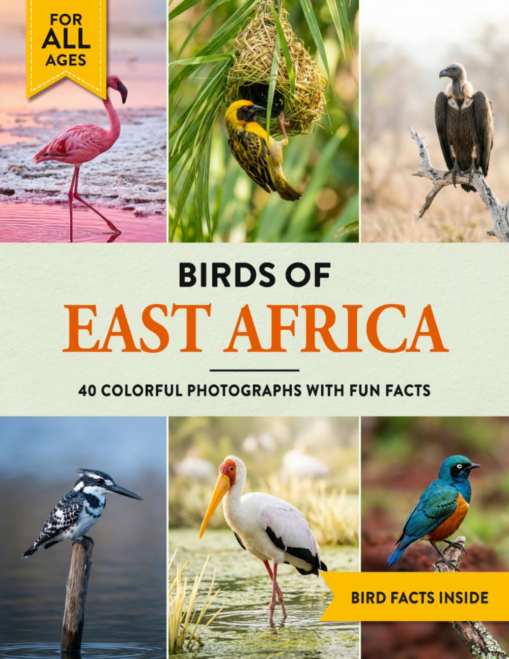 Birds of East Africa: A Birdwatching Picture Book with Fun Facts and Photography for Kids, Adults & Birders