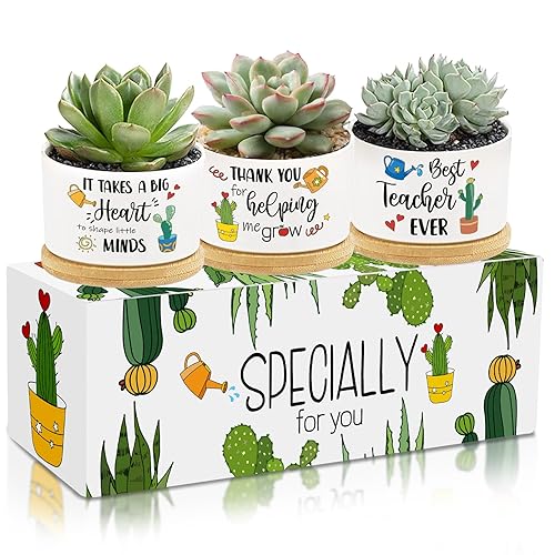 3Pcs Teacher Appreciation Gift Succulent Pots Mini Ceramic Plant Pot