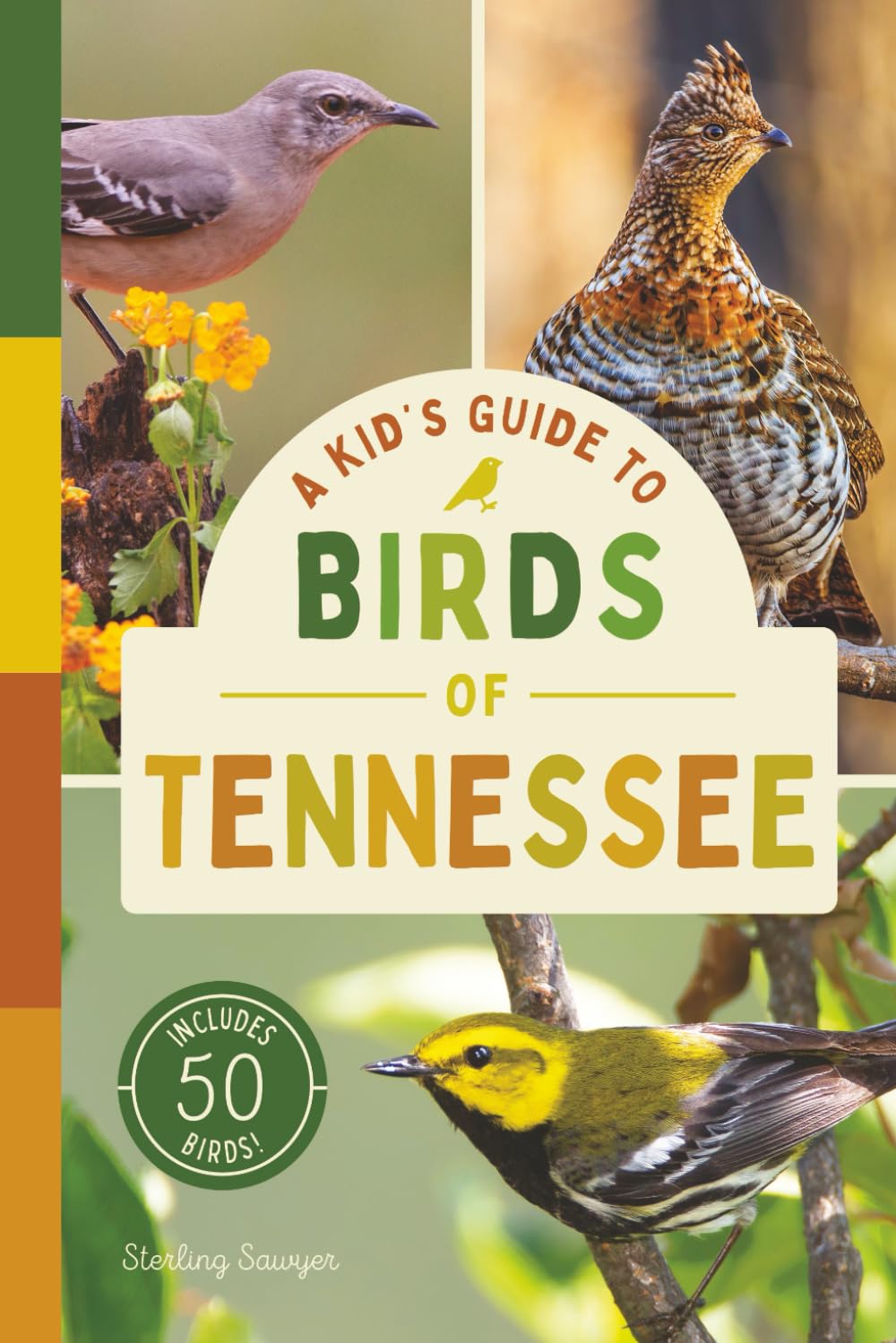 A Kid’s Guide to Birds of Tennessee: An Introduction to Tennessee Birds with Full-Color Illustrations, Glossary, Birdwatching Tips, and More (Book ... 6-9) (A Kid's Guide to the Natural World)