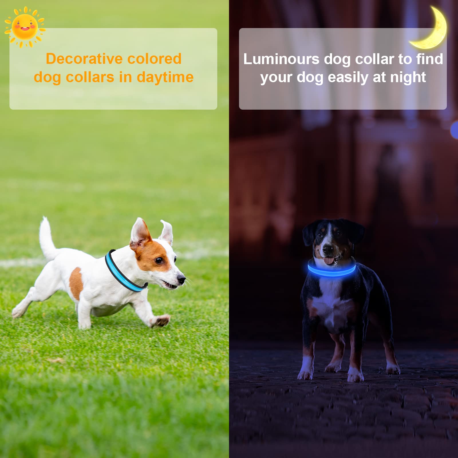Collier Lumineux Chien Rechargeable par USB Collier LED Réglable avec 3 Modes D'éclairage pour Les Petits Chiens Moyens et Grands Qui Marchent la Nuit en Toute Sécurité - Bleu Clair - M