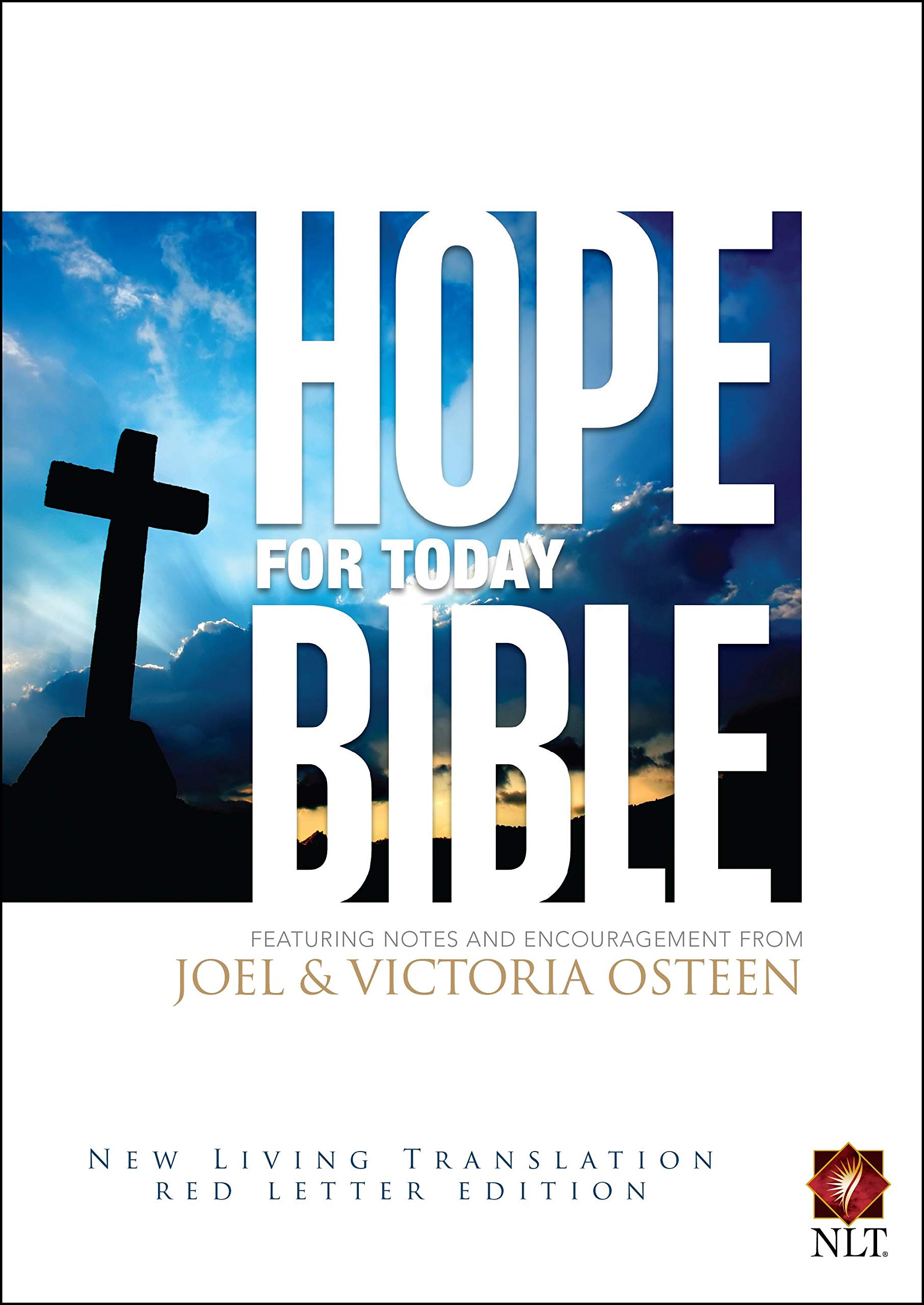 Buy Hope for Today Bible-NLT — BookShops.in