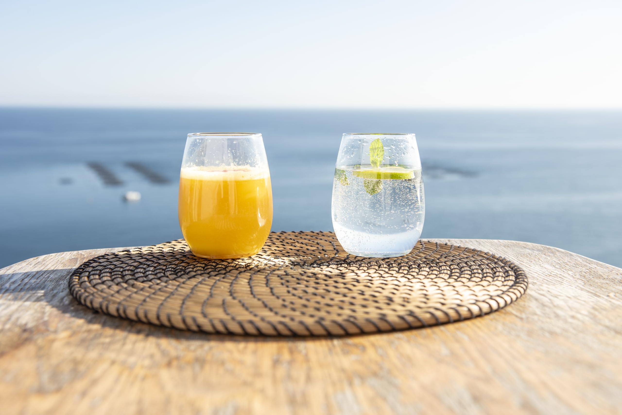 Wassersprudler Fizz Club Fusion für Wasser und Softdrinks, Edelstahl gebürstet, ohne Strom, kompatibel mit universellen CO2 Zylindern