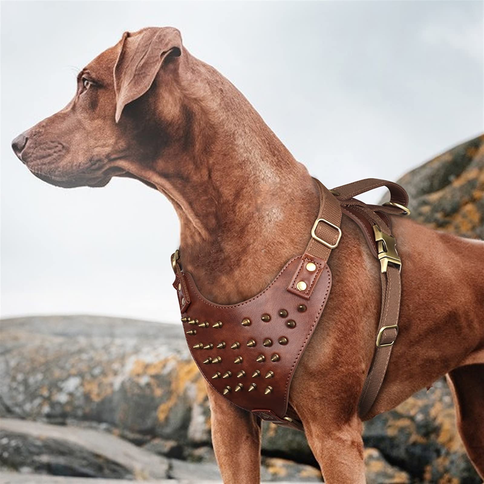 FNSK Arnés For Perro con Tachuelas Y Tachuelas, Chaleco De Arnés For Perro De Cuero Duradero Ajustable For Perros Medianos Y Grandes, Accesorios For Bóxer Pitbull Bulldog