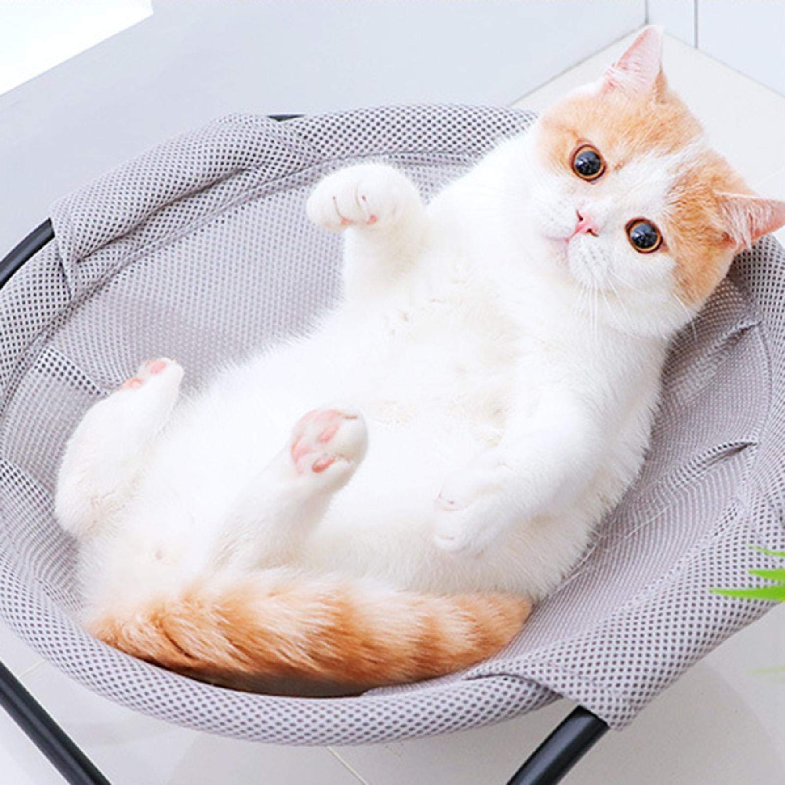 Bank kiezen met een kat in huis: deze stoffen blijven mooi Bank kiezen met een kat in huis: deze stoffen blijven mooi