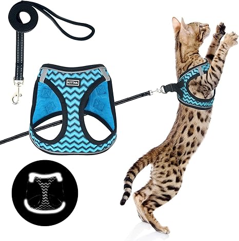 Cool cat harness Clearance