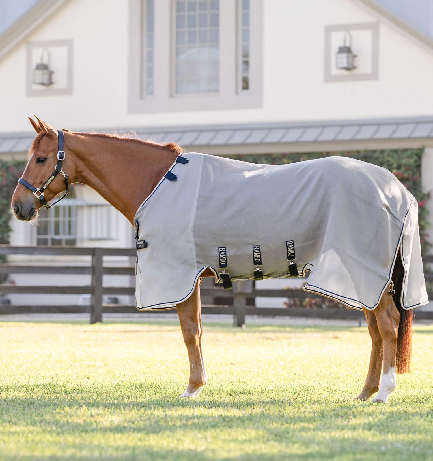 Protection contre les mouches Fieldsafe Horseware évite les piqûres de taons