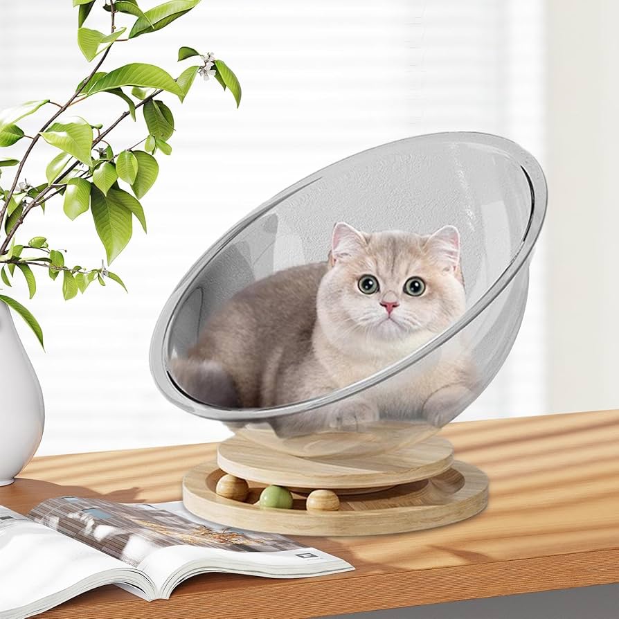 マット 寝具 ベッド チェア キャット キャット用品 猫ベッド 楽天市場】スツール＆ドームベッド キャットベッド 猫 ベッド