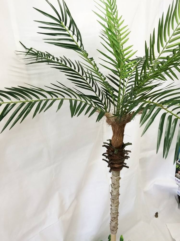 Amazon.co.jp: ヤシの木「フェニックスパームツリー」人工観葉