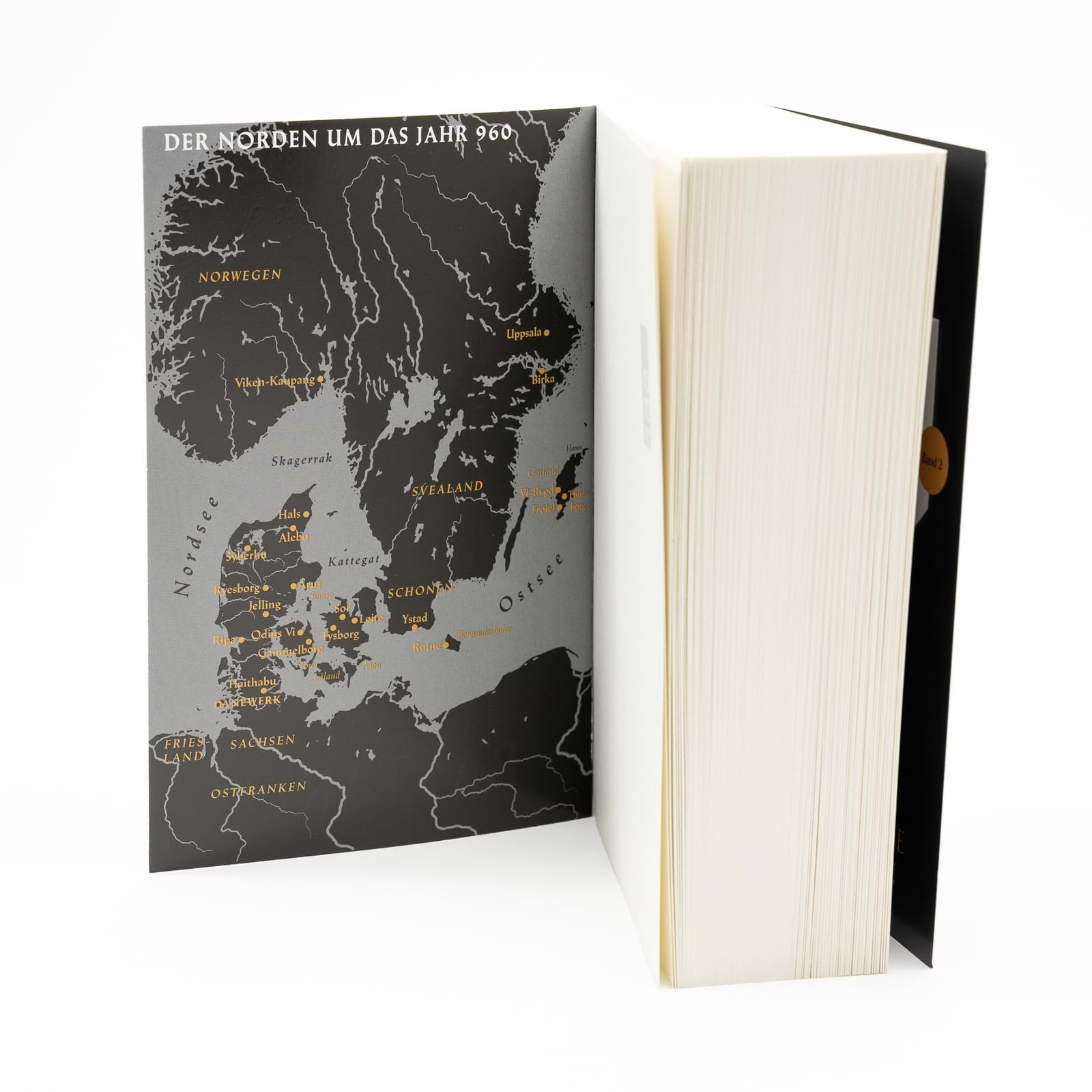 Millennium Kingdom: Der Bastard: Die packende Wikingerserie (Die Millennium Kingdom Reihe, Band 3)
