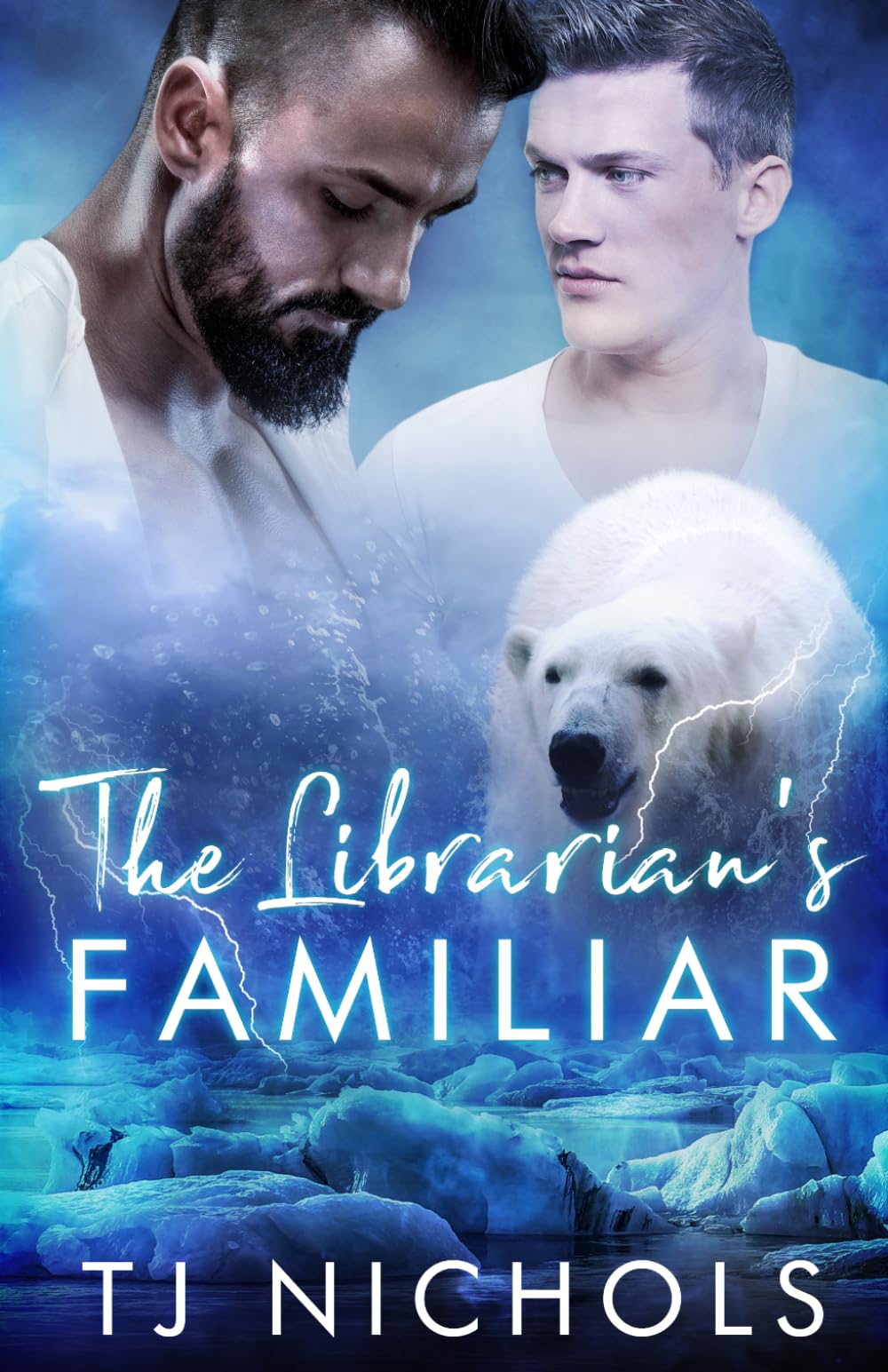 The Librarian's Familiar (Familiar Mates)