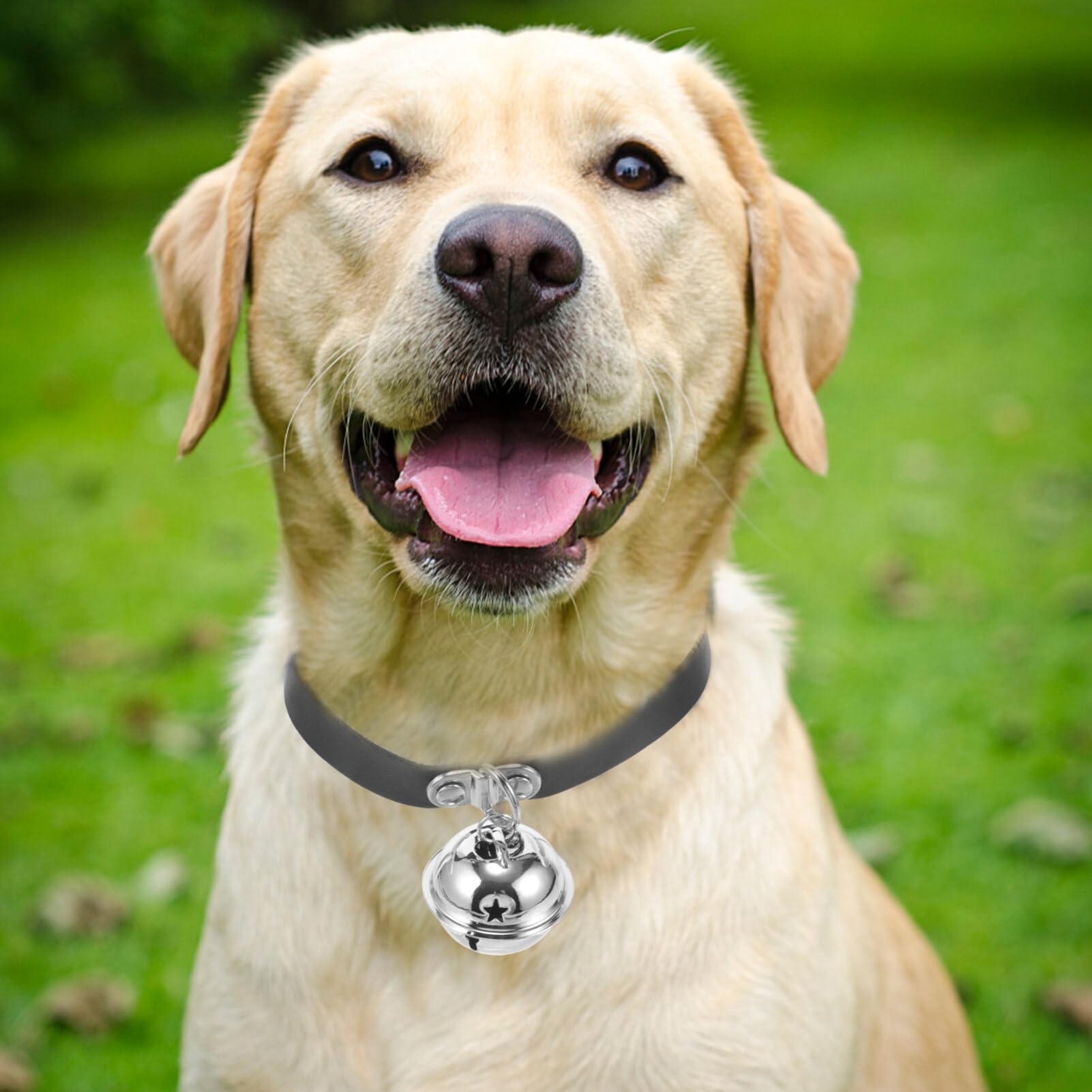 Housoutil Collier Ajustable pour Chien avec Cloche Collier PU Cuir pour Animaux De Compagnie Accessoire Confortable pour Chiens Et Chats