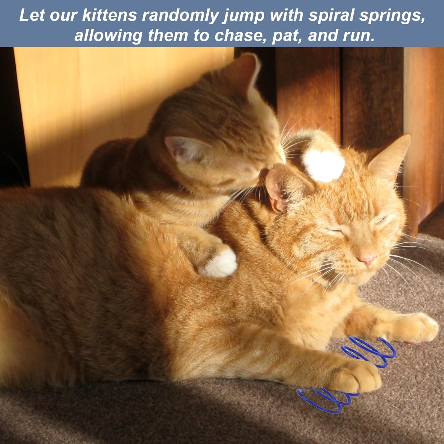 40 Pcs Colourful Cat Springs,Kitten Toys,Cat Spiral Toy,Durable Plastic Toys Springs for Bouncing Play Training Fun Gift 6 71kH6Gn54oL. AC SL1500