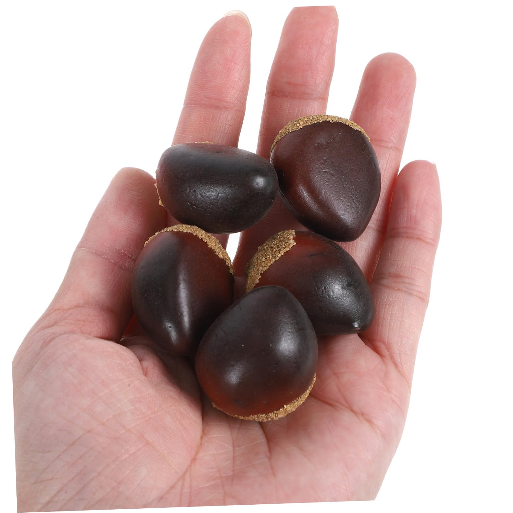 Alipis 5 Juegos Castaña De Espuma Nueces De Simulación Comida De Cocina Artificial Castañas De Espuma Falsa Castañas Realistas Castañas Falsas Espumas Modelo De Frutas Coffee 30 Uds * 5