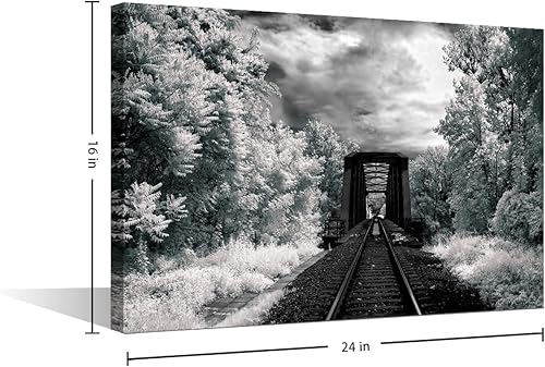 Vista 147 de 1 lienzo decorativo para pared, ferrocarril a través del bosque de pinos con niebla, decoración moderna para el hogar, sala de estar, arte de pared