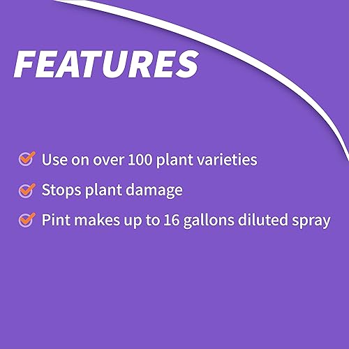 Miniatura 5 de Bonide Control sistémico de insectos, concentrado de 16 onzas, insecticida de larga duración para jardinería al aire libre, hace 16 galones