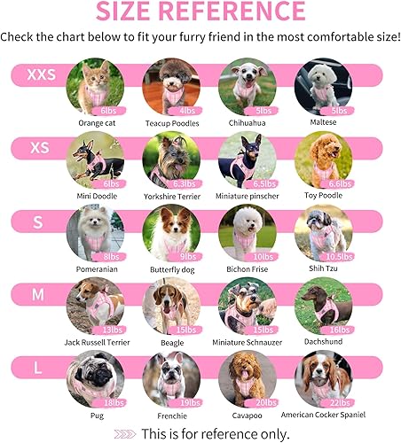 Miniatura 7 de voopet Juego de arnés y correa para perro, ligero para mascotas, cachorro y gato, cómodo chaleco de malla suave, arnés para perro, sin tirones, sin