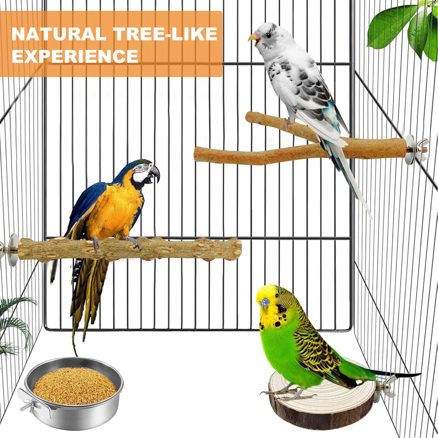 Lot de 4 perchoirs naturels pour oiseaux, perchoirs pour perruches, avec 2 mangeoires, accessoires de cage à oiseaux, pour perroquets, calopsittes, canaris