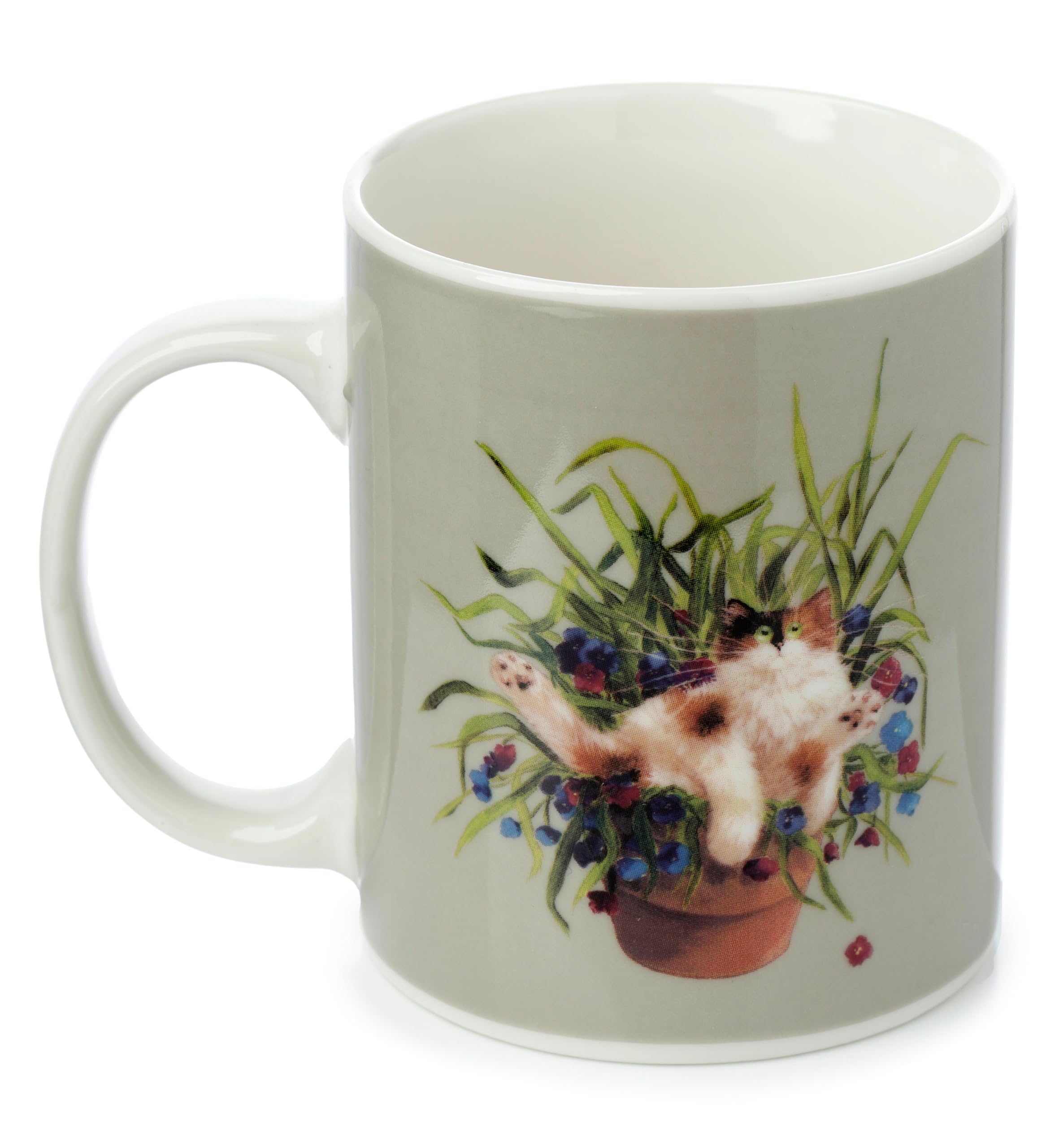 Puckator Kim Haskins Cat in a Plant Pot Green Porcelain Tea Coffee Mug Funny Home Accessories Cute Gifts for Girlfriend Large Mugs for Men Women Hot Drinks Cups Presents Secret Santa Gift Cup Set