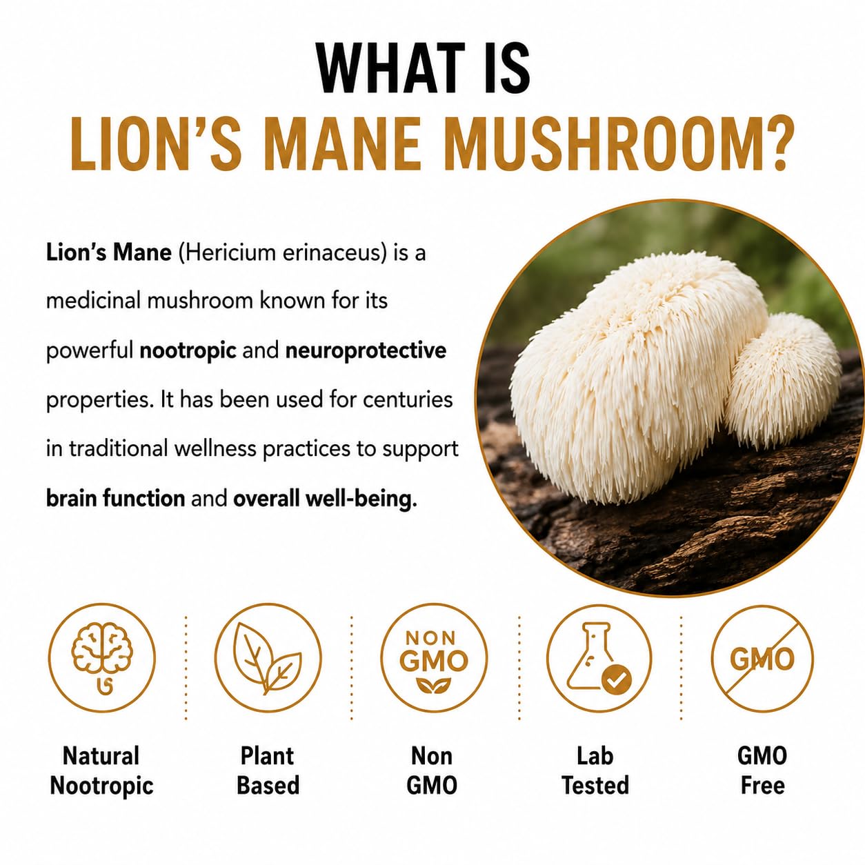 Way Of Pleasure 60 Capsule With Active Ingridients Lions Mane Mushroom Digestive, Healthy Heart, Immune System, Brain & Nerve, Lions mane supplement Capsule — Amazon image 4