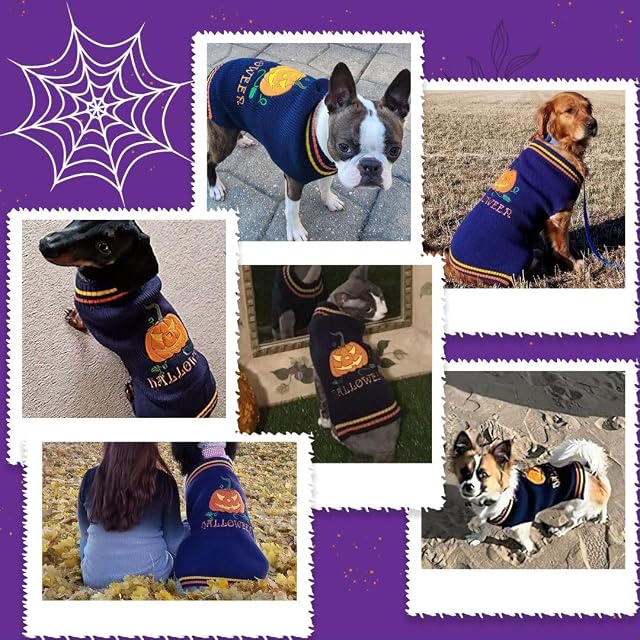 Foto 2 de 7 de Jersey Halloween para Perros y Gatos - Suéter Punto Calabaza Disfraz