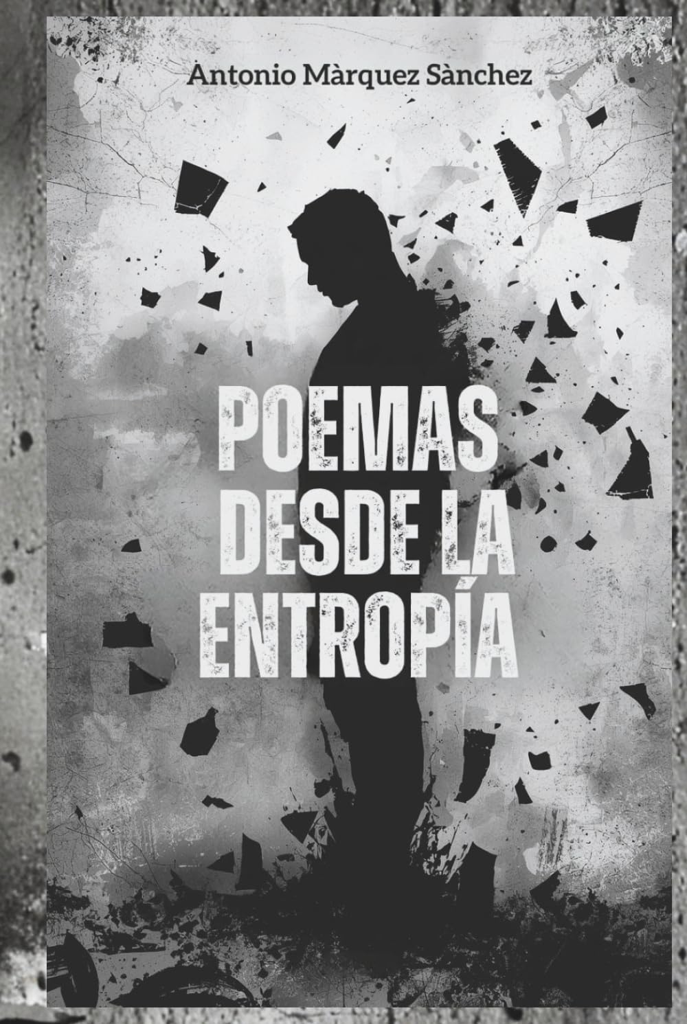 Poemas desde la Entropía