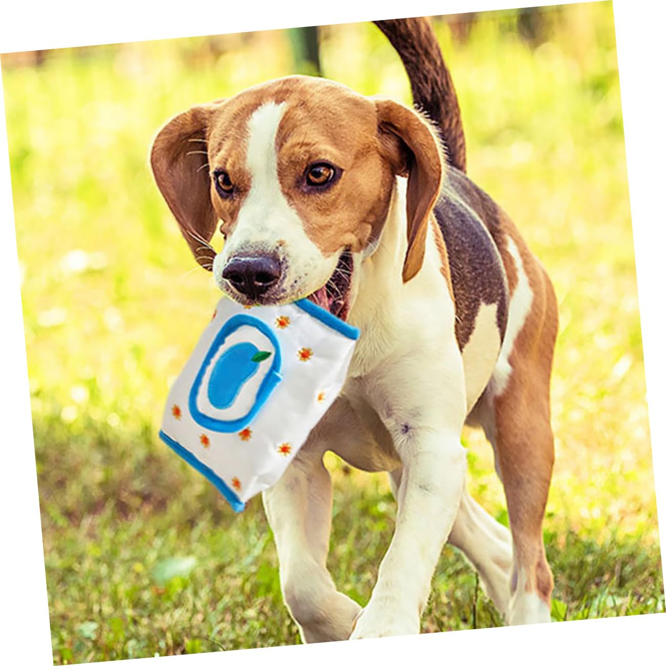 Kisangel 8piezas Juguetes De Olfateo para Perros De Juguetes De Extracción De Papel para Entrenamiento De Forrajeo para La y Prevenir El Aburrimiento