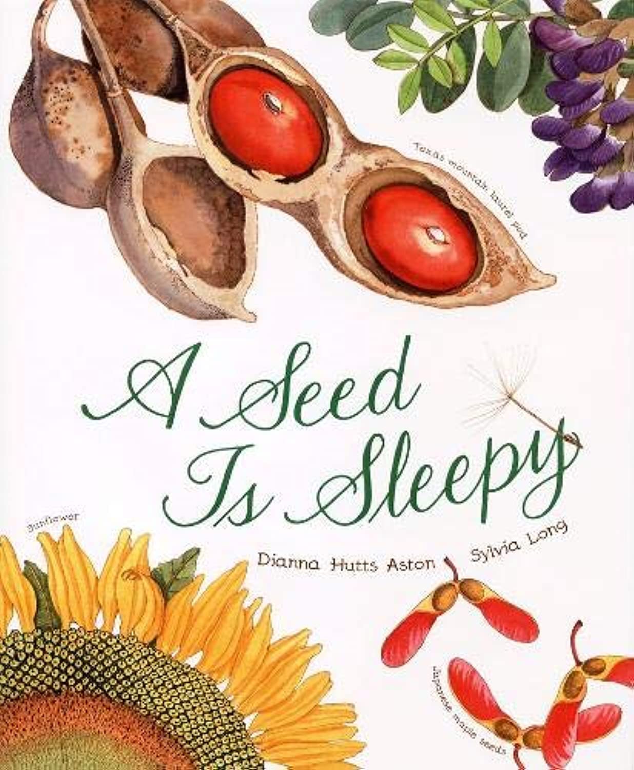 A Seed Is Sleepy (Sylvia Long)