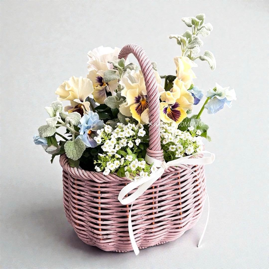 ミニチュアベンチの姫秀麗みっちり寄せ*そのまま飾れる多肉植物の寄せ植え*