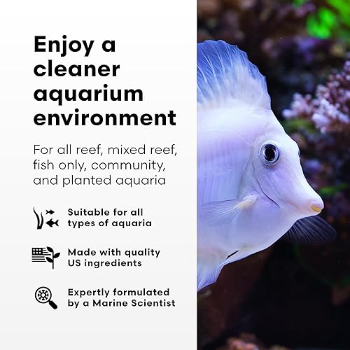 Miniatura 3 de Brightwell Aquatics - Purit Medios de filtración química de última generación - para uso en todos los acuarios marinos y de agua dulce -