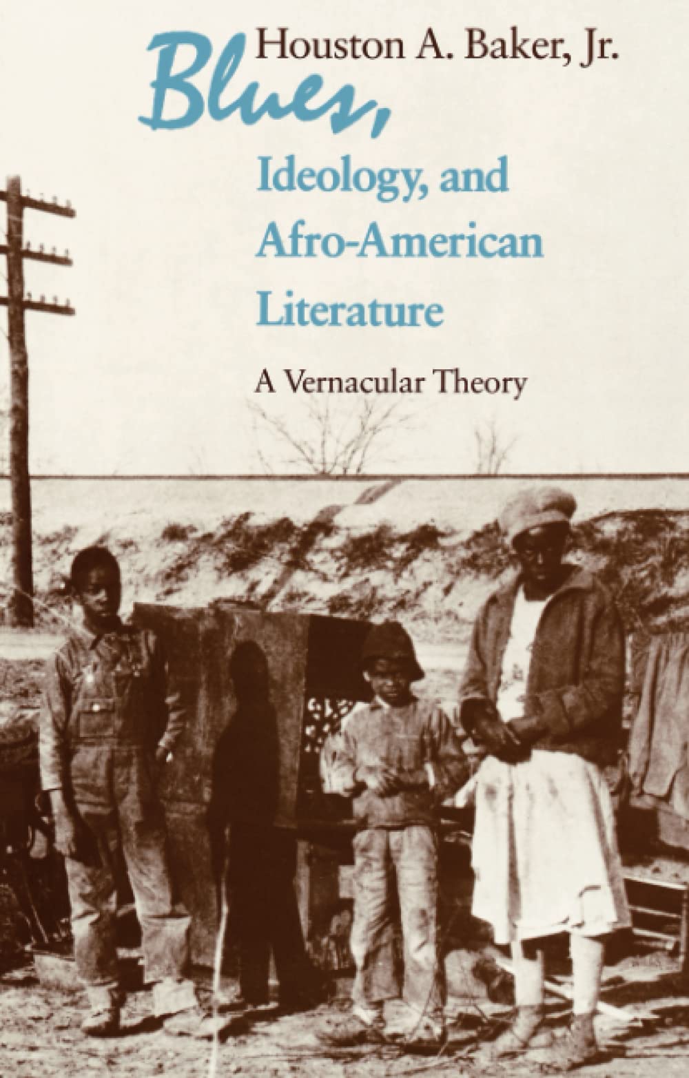Blues, Ideology and Afro-american Literature: A Vernacular Theory