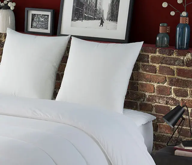 DODO Oreiller Arizona Ultra Doux 60x60 | Confort Moelleux Fabriqué en France | Lavable Machine