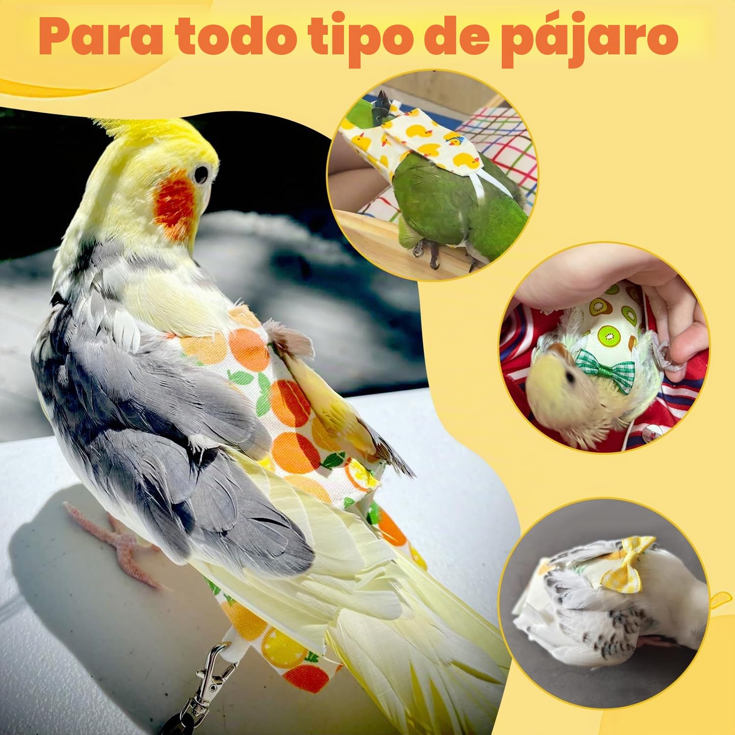 6 pañales FAURAPMNG para pájaros, pañales reutilizables para loros, ropa de cacatúa con cuerda elástica en la espalda, impermeable, capa interior, lavable, pantalones para periquitos, periquitos, mini