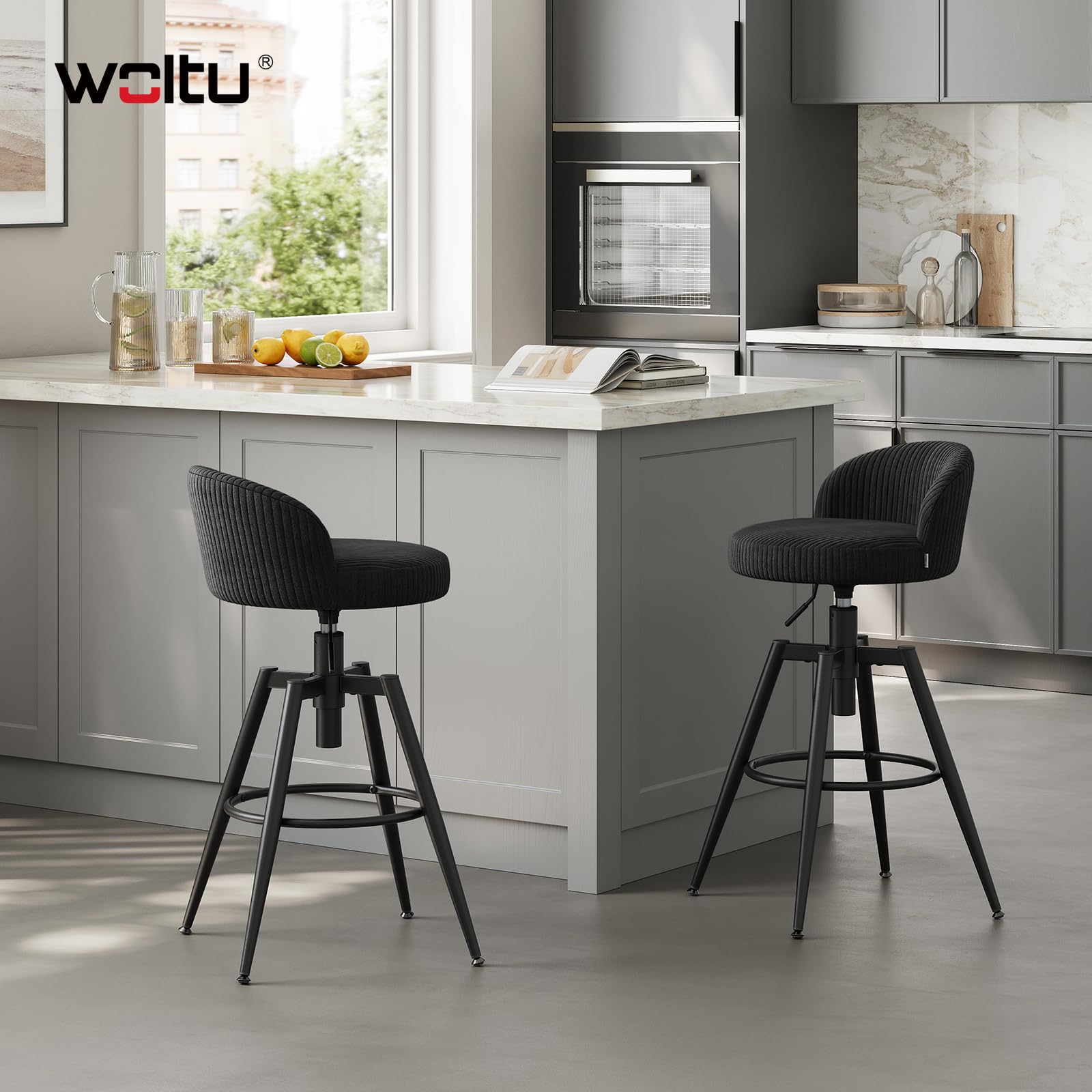 WOLTU Sgabelli Cucina Set di 2, Sedie Regolabili in Altezza, Nero