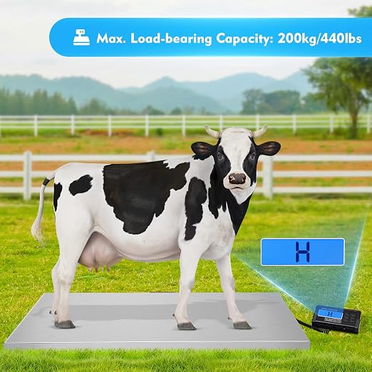 Báscula Digital para Mascotas 440 lbs Acero Inoxidable miniatura 3