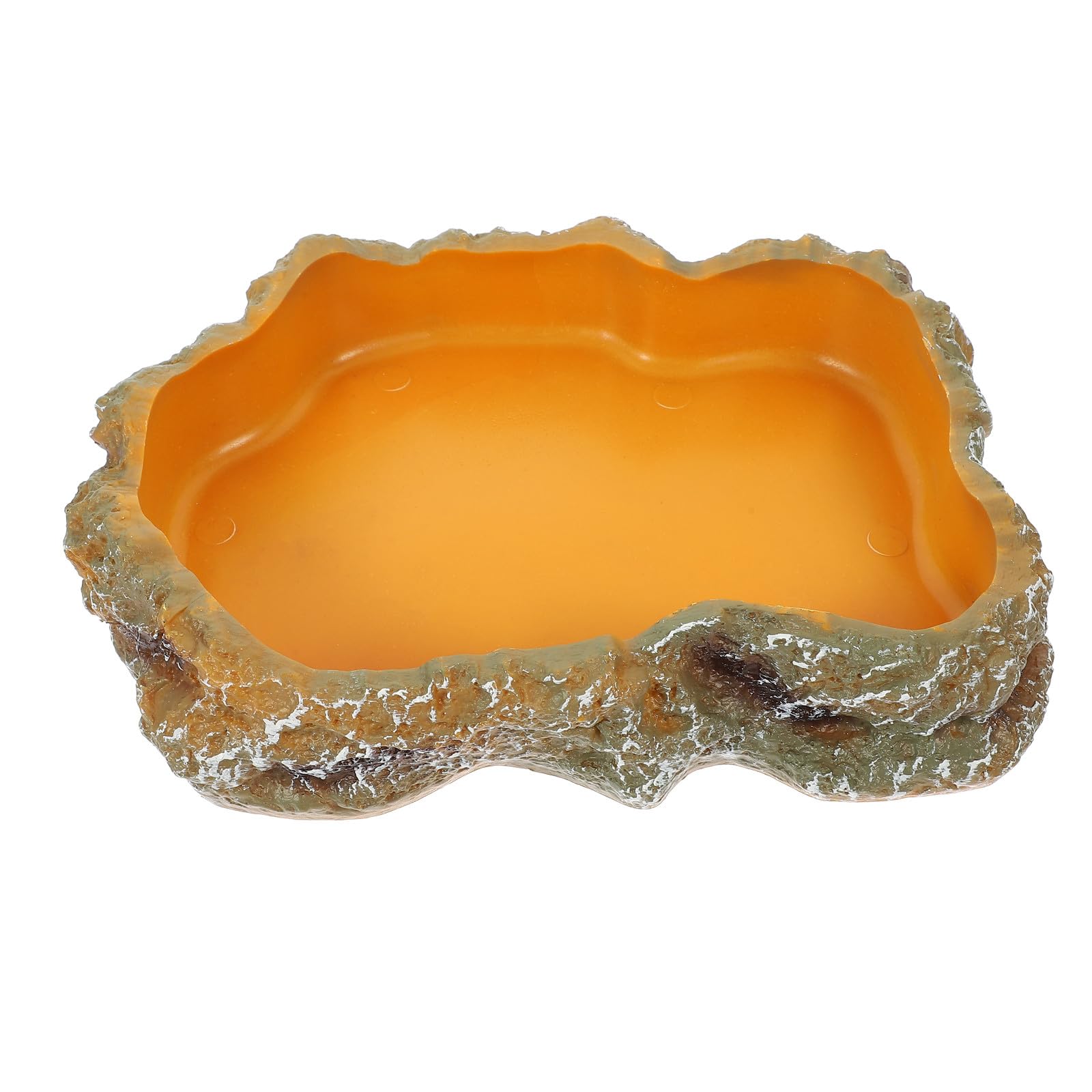 ibasenice Bol Eau Reptiles Taille M Gamelle Nourriture pour Lézards et Tortues Accessoires pour Terrarium Décoration Paysagère