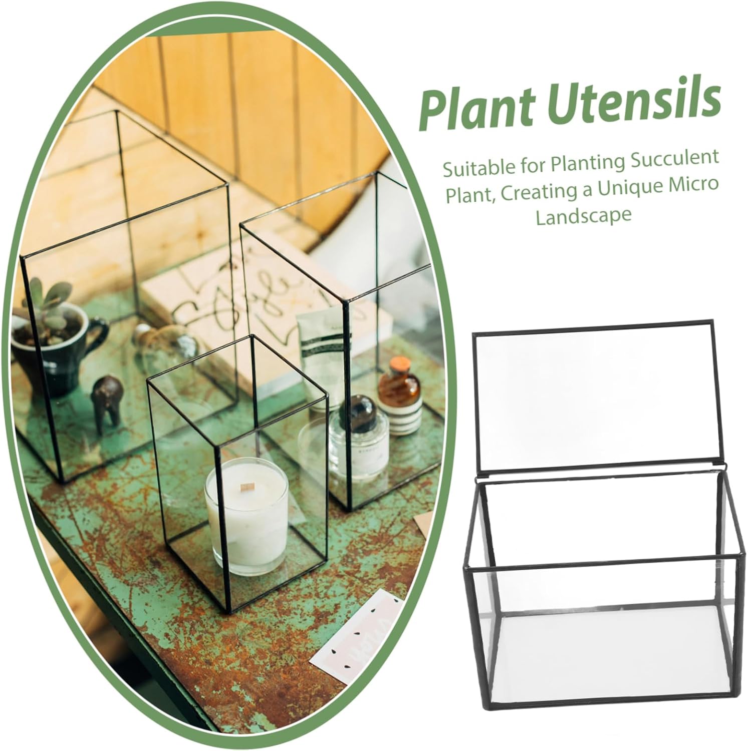 Terrarium Box Glass Plant Terrarium Landscape Display Holder Glass Container for Plants Decorative