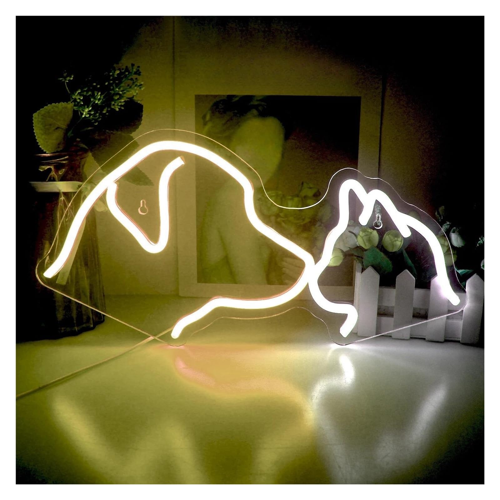 néon signe Enseigne Lumineuse Au Néon Pour Chien Et Chat, Alimentée Par USB, Luminosité Réglable, Idéale Pour Une Décoration De Bistro Ou De Fête 20cmx40cm(B)