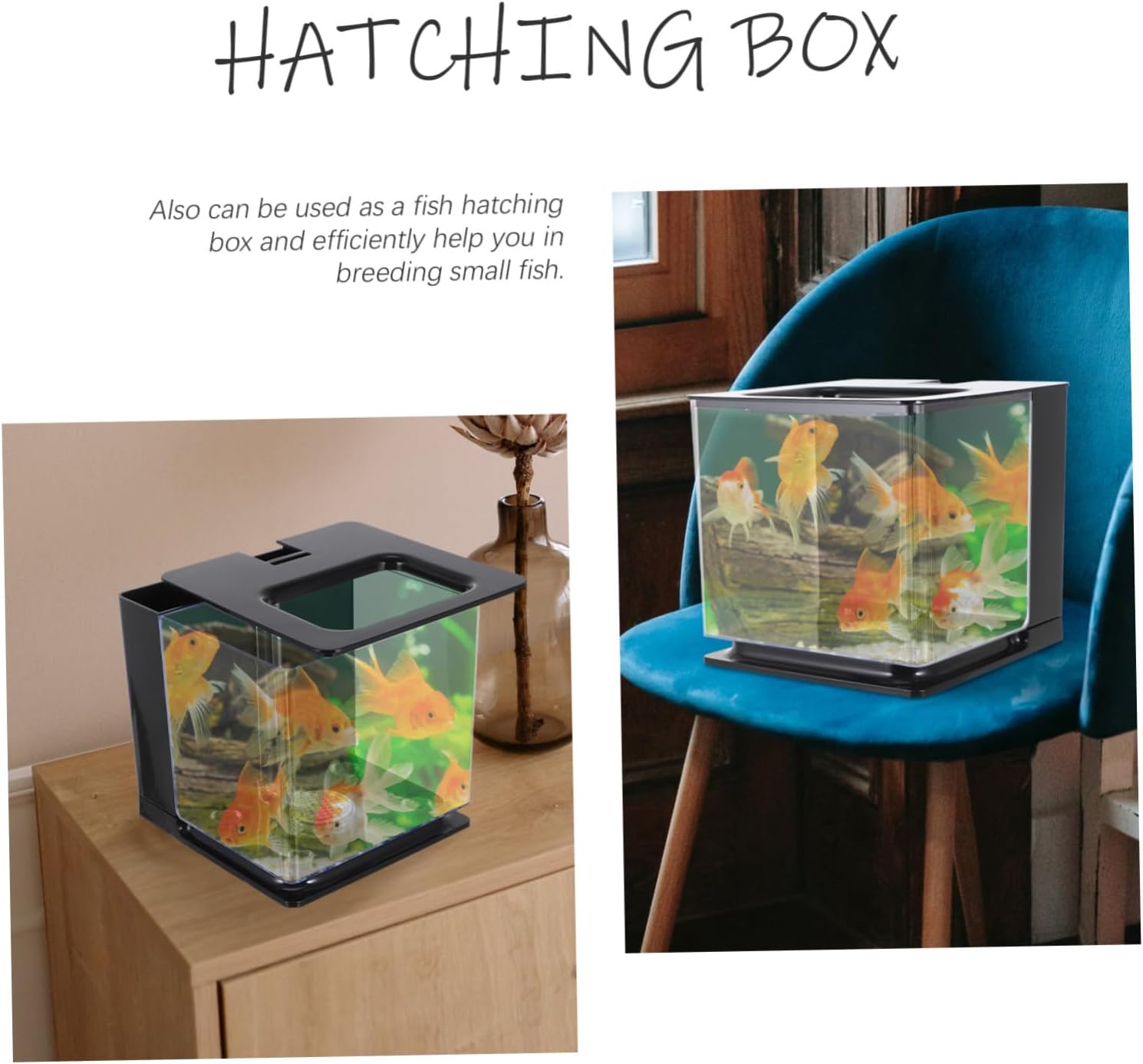 Small Transparent Acrylic Fish Tank Multi-Purpose Rearing Container for Fish Shrimp Turtles Crabs for Home Decoration and Fun Aquarium