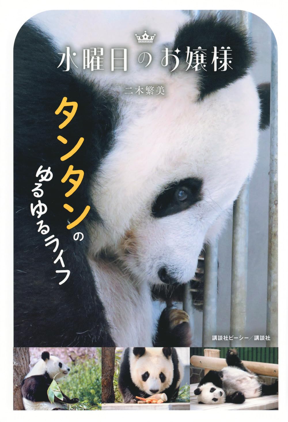 紀伊民報連載　ありがとうパンダ アドベンチャーワールド パンダ全4 頭中国返還へ 4月26日 紀伊民
