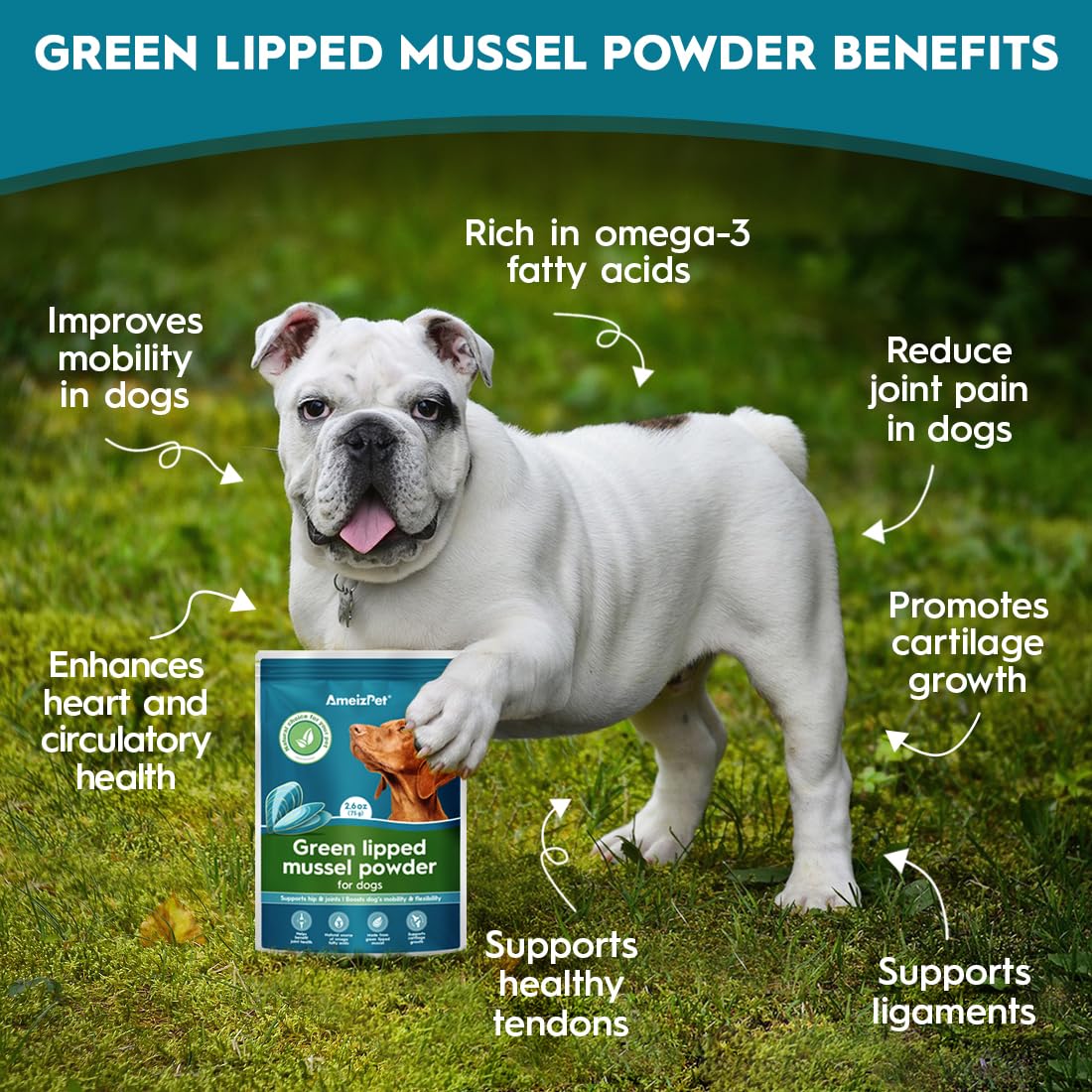 AmeizPet Green Lipped Mussel Powder for Dogs Hip And Joint Care for Dog Mobility Booster With Glucosamine Omega-3 Enriched Supplement - Image 2