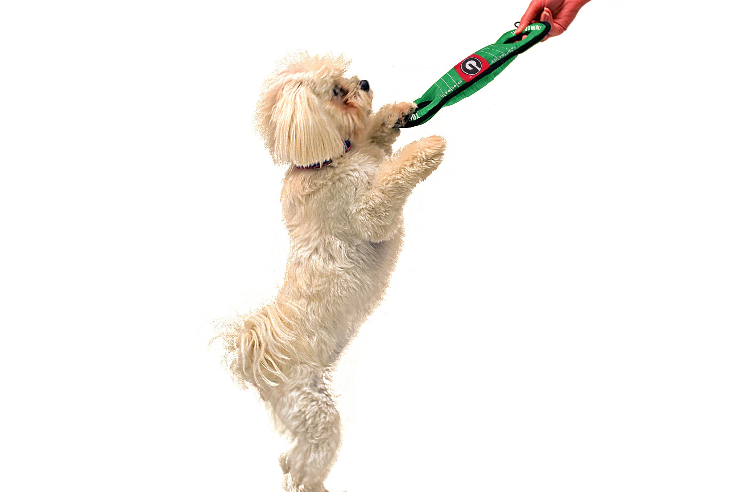 NCAA Football campo perro juguete con squeaker – 45 equipos disponibles – para juegos, Toss, y busca. – resistente y Durable mascota juguete. College – perro juguete. – Collegiate mascota juguete.