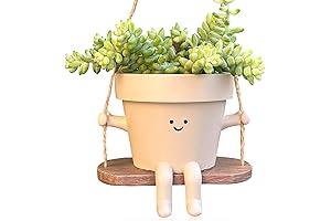 Swinging Face Planter Pot: Cute Hanging Planter for Indoor/Outdoor Plants