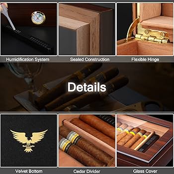 Amazon.com: Bald Eagle Handmade Cigar Humidor, Cedar Cigar