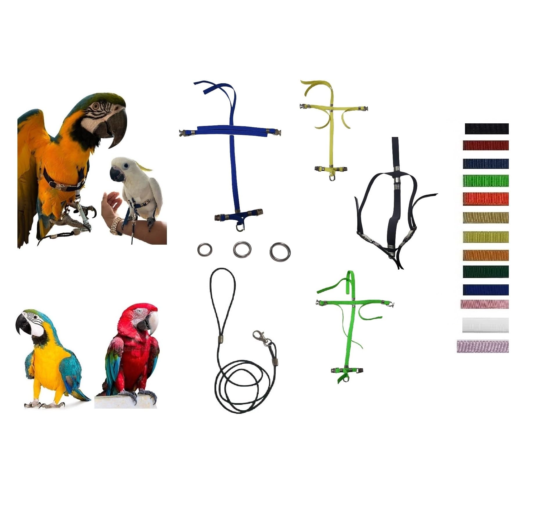 Harnais de plongée réglable CACATUA élastique avec ruban noir 10 mm