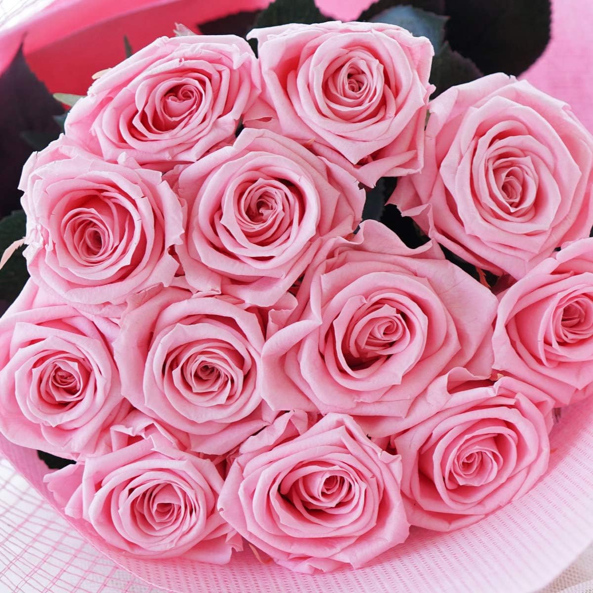 バラの花束 12本 メッセージプリザ 誕生日 バラの色 ダズンローズ 記念日 花束 ギフト 12本の薔薇 贈り物 アレンジ バラ 枯れないバラ1本 メッセージ入り プレゼント 結婚 お祝い 選択可能 プロポーズ ローズブーケ