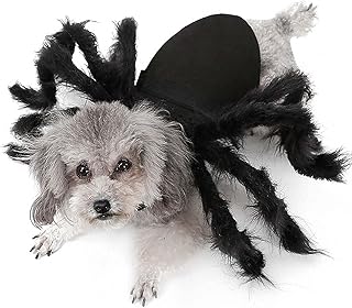 spider dog costume amazon