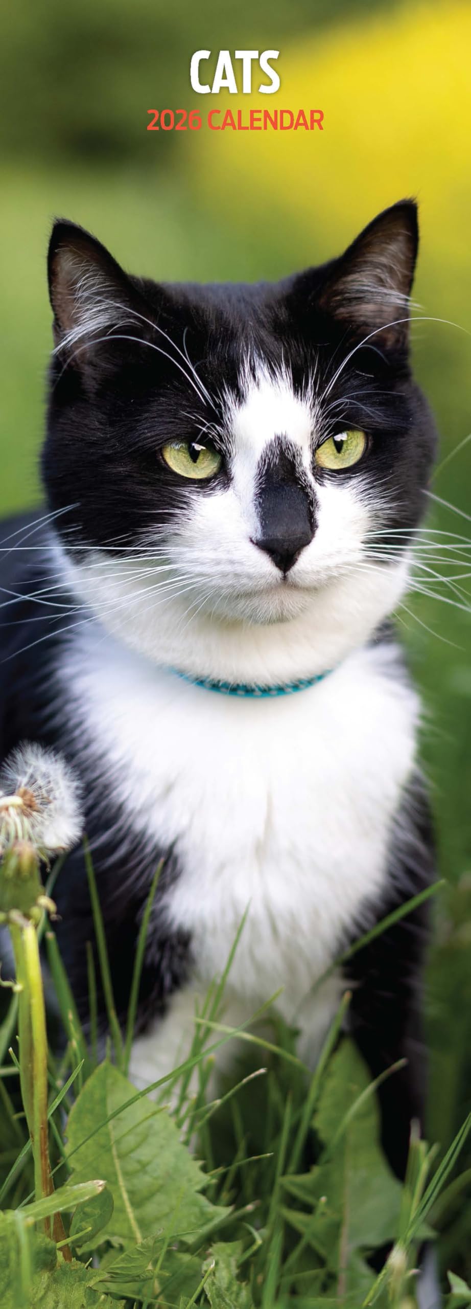 Cats 2026 Slim Calendar